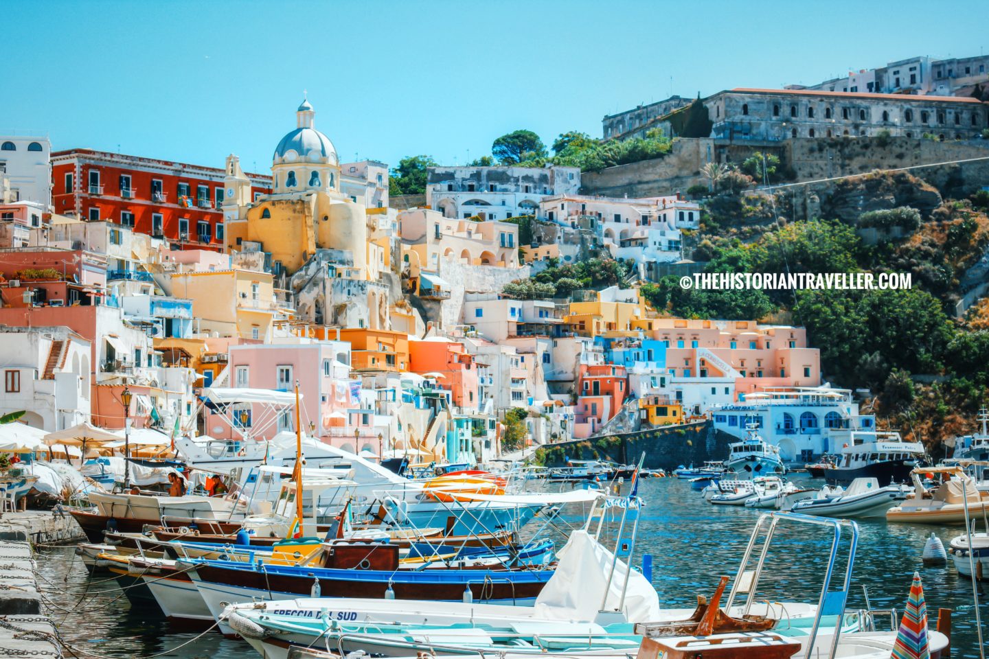organise a day trip to Procida