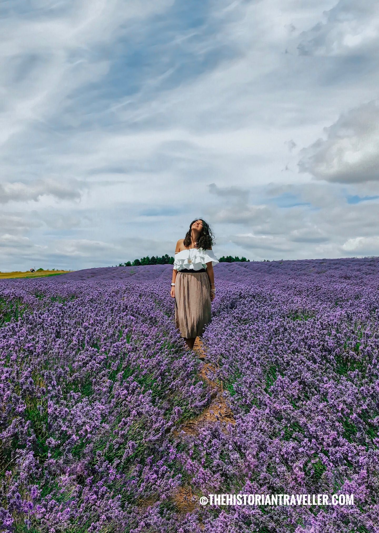 Most instagrammable flower fields UK